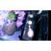 Red Sea Max Nano Reef System 75l akwarium + wyposażenie