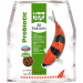 Sera Koi All Seasons Probiotic 5kg Pokarm dla karpi koi
