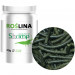 Shrimp Nature Roślina / Zielony 30g Pokarm roślinny