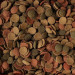 Glopex Small Waffers Mix 1kg - Wafelki dla ryb