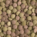 Tetra Tablets TabiMin XL 133 tab. pokarm dla ryb dennych