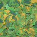 Tropical Bio-Vit 5L - 1kg Pokarm roślinny dla ryb