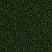 Tropical CARIDINA Nano Sticks 10g - DLA KREWETEK