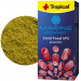 Tropical Marine Power Coral Food SPS Powder 100ml - 70g pokarm dla koralowców