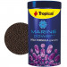 Tropical Marine Power Garlic Formula 250ml - 150g granulat pokarm z czosnkiem