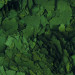 Tropical Spirulina Super Forte 36% 1000ml - 200g Pokarm dla ryb