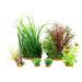 Zolux PlantKit Jalaya nr 4 roślina sztuczna do akwarium 6 szt.